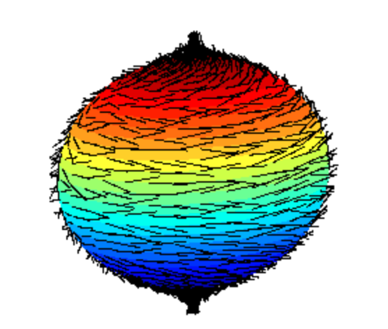 Ordinary Differential Equations